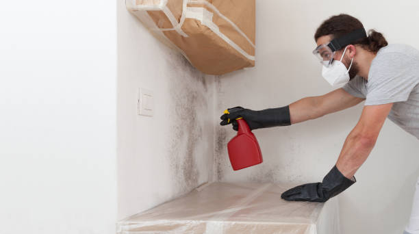 Professional Mold Remediation technician working in Hudson, MA