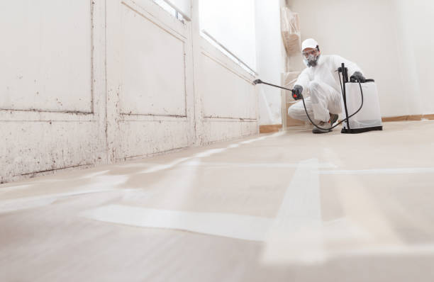 24/7 Emergency Mold Remediation experts in Hudson, MA