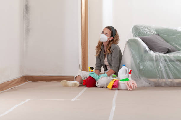 Reliable Mold Remediation contractor in Hudson, MA by WQB Mold Removal